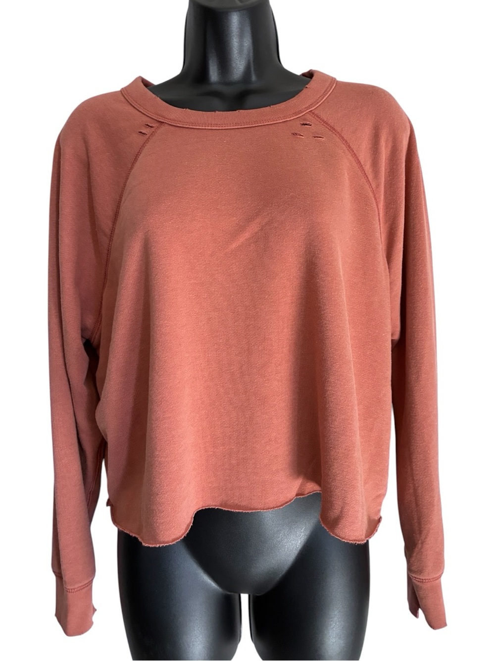 Aerie Classic Lounge Long-Sleeve Thrashed Cropped Sweatshirt - Rust Orange Sz S